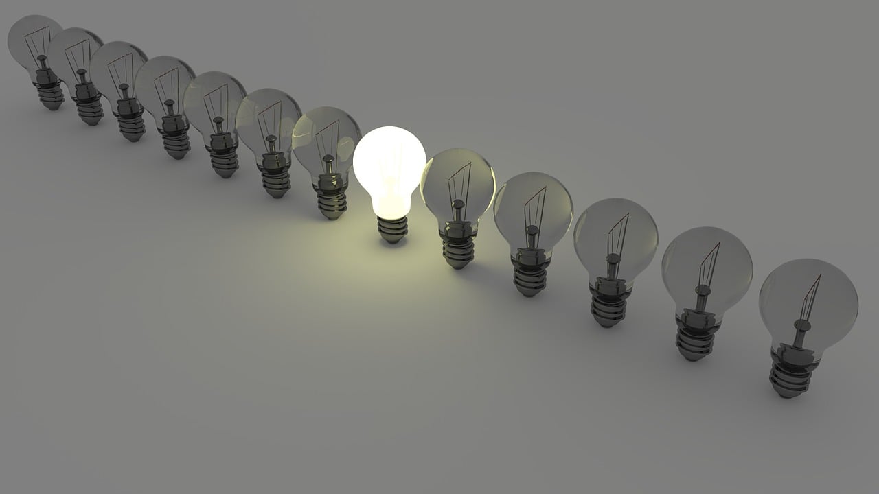 ¿Cuál es la diferencia entre un ciervo y un reno?