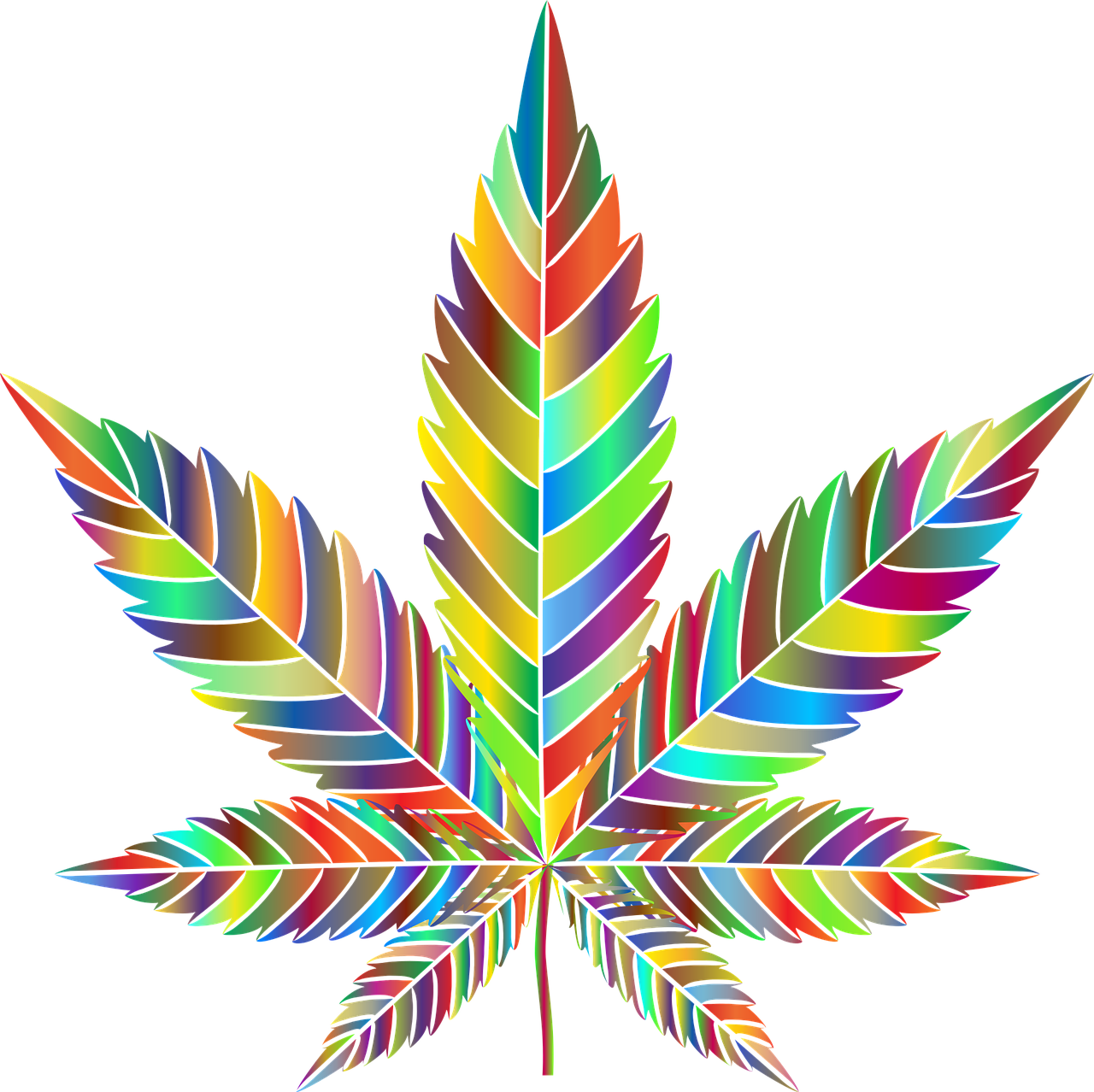 ¿Qué son las drogas psicodélicas o perturbadoras?
