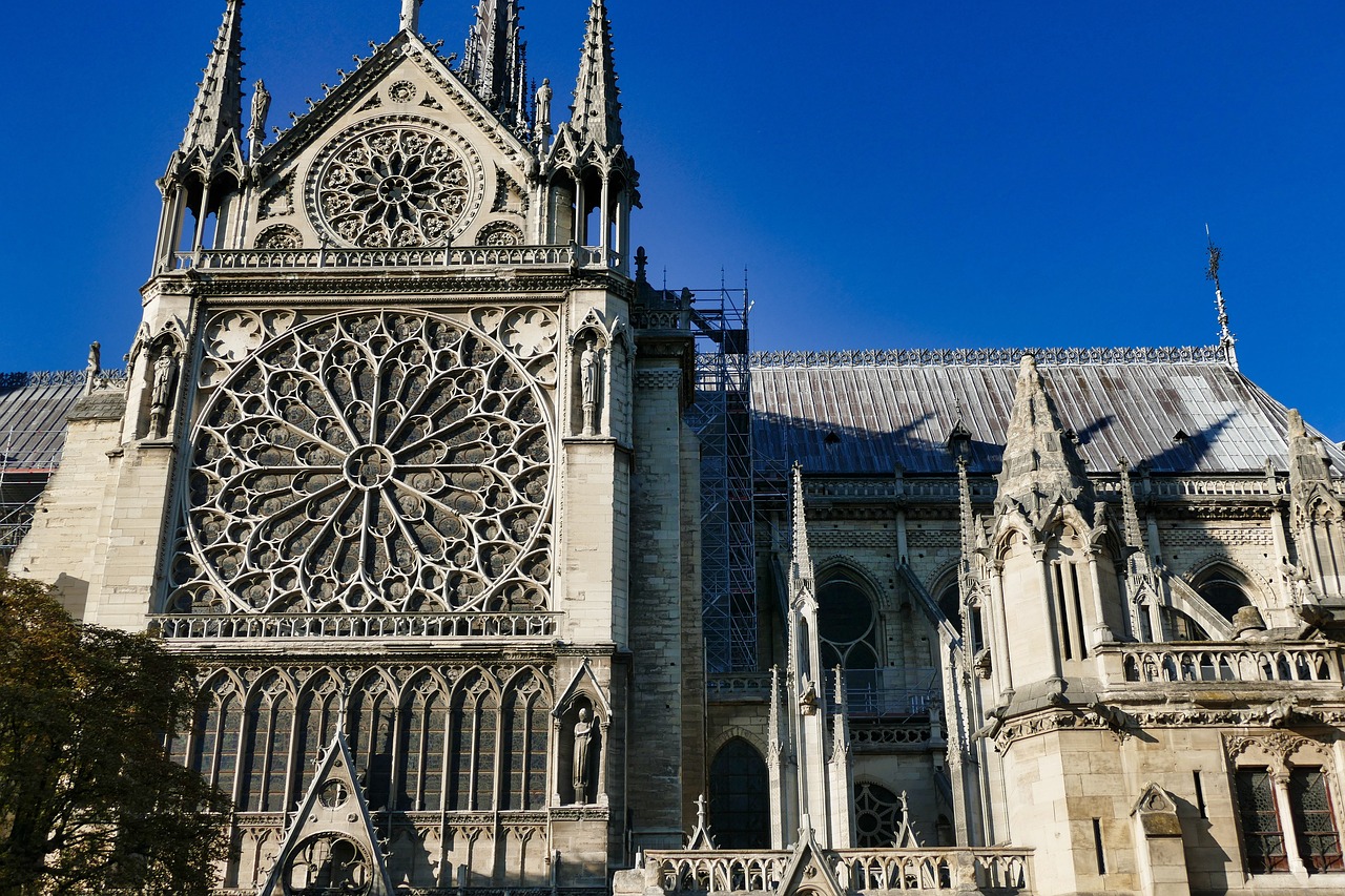 ¿Que han encontrado en Notre Dame?